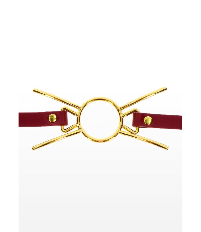 Taboom Bondage in Luxury Open Mouth Spider Gag