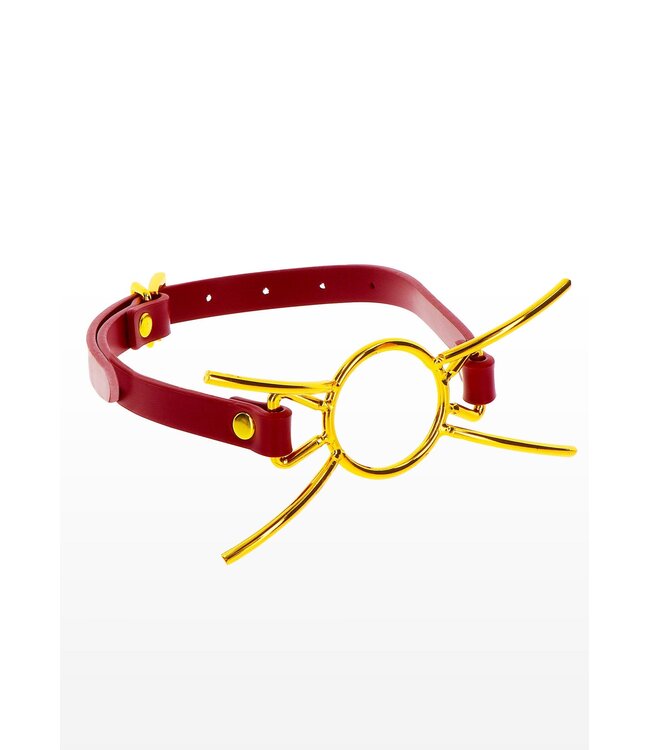 Taboom Bondage in Luxury Open Mouth Spider Gag