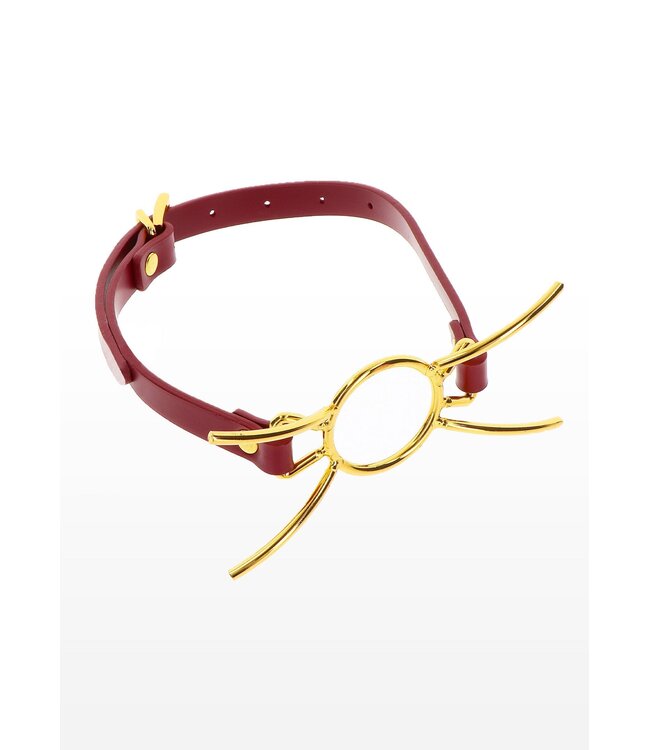 Taboom Bondage in Luxury Open Mouth Spider Gag