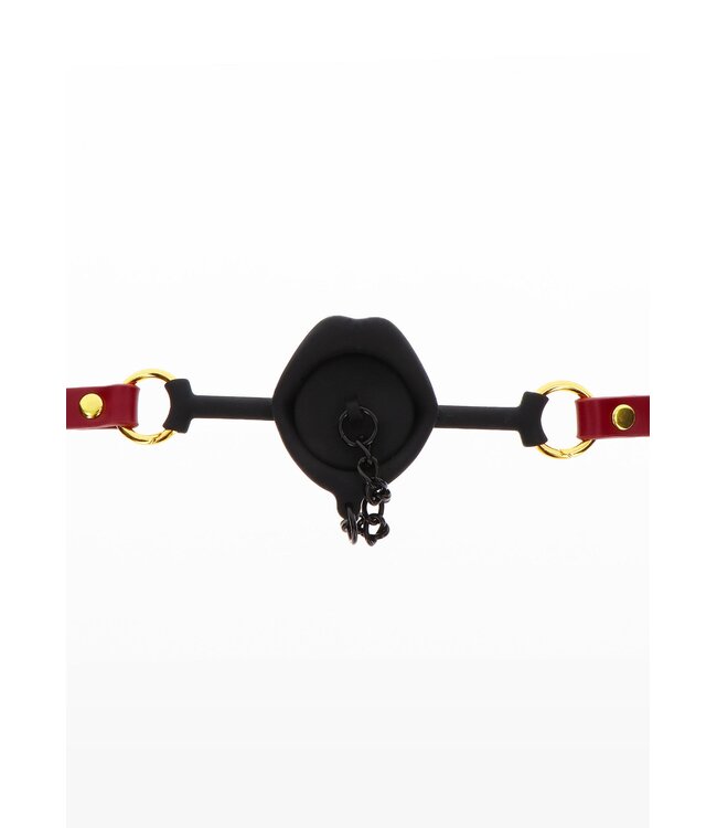 Taboom Bondage in Luxury Kinky Gag with Plug