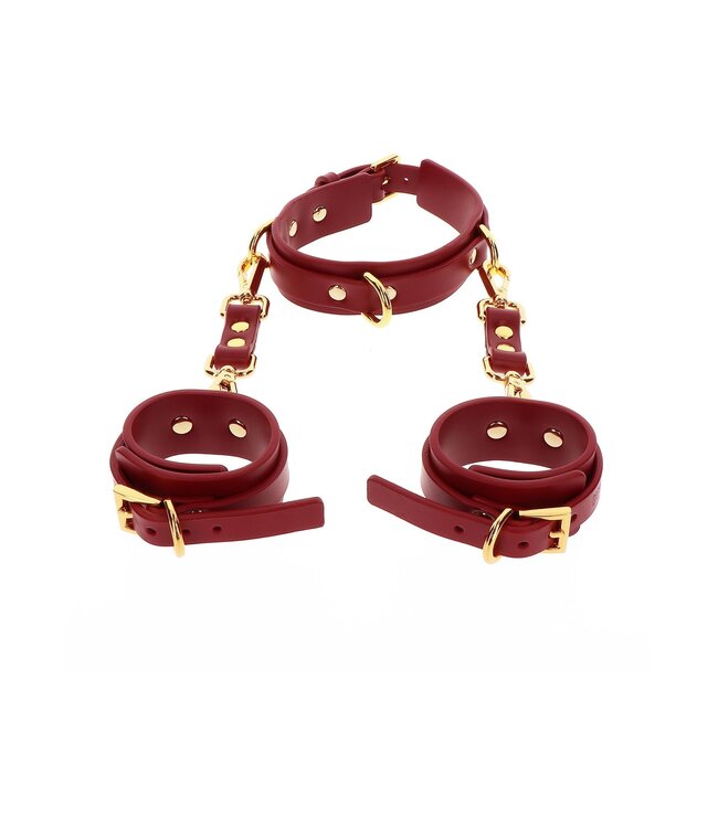 Taboom Bondage in Luxury D-Ring Collar and Wrist Cuffs