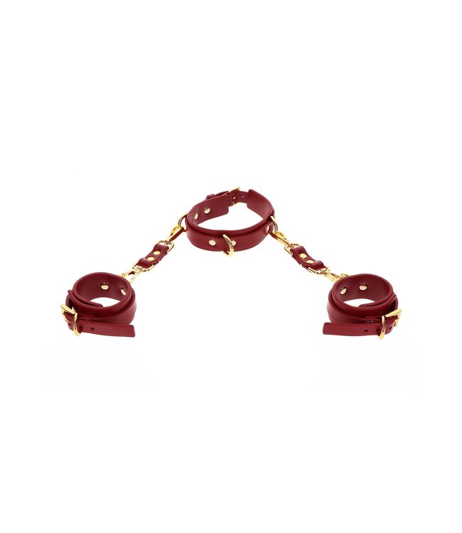 Taboom Bondage in Luxury D-Ring Collar and Wrist Cuffs