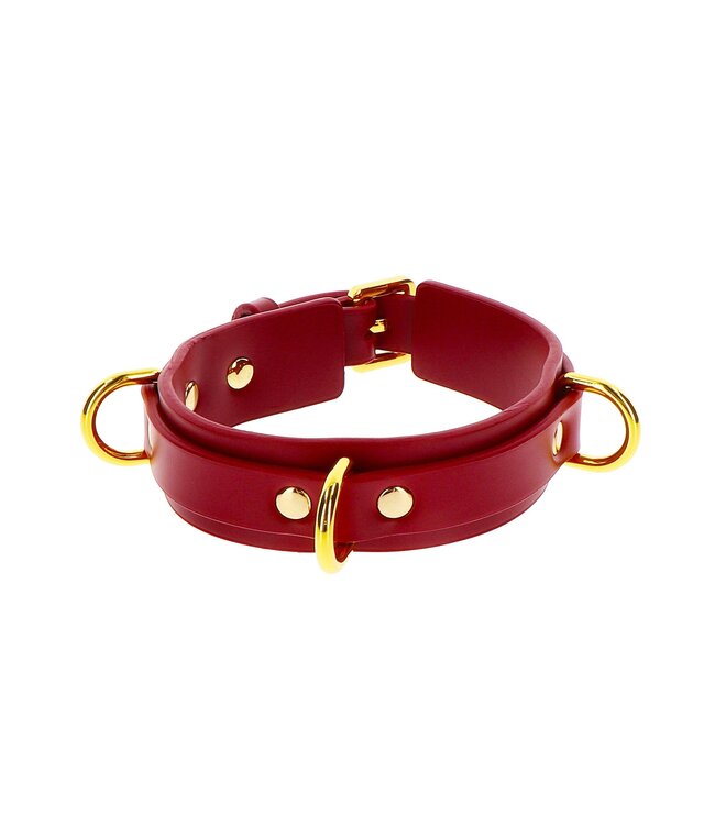 Taboom Bondage in Luxury D-Ring Collar Deluxe