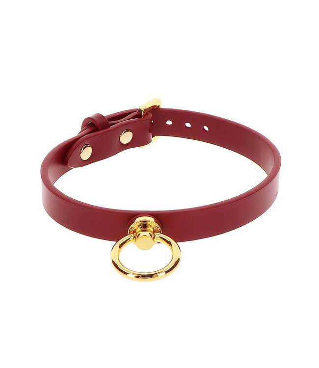 Taboom Bondage in Luxury O-Ring Collar