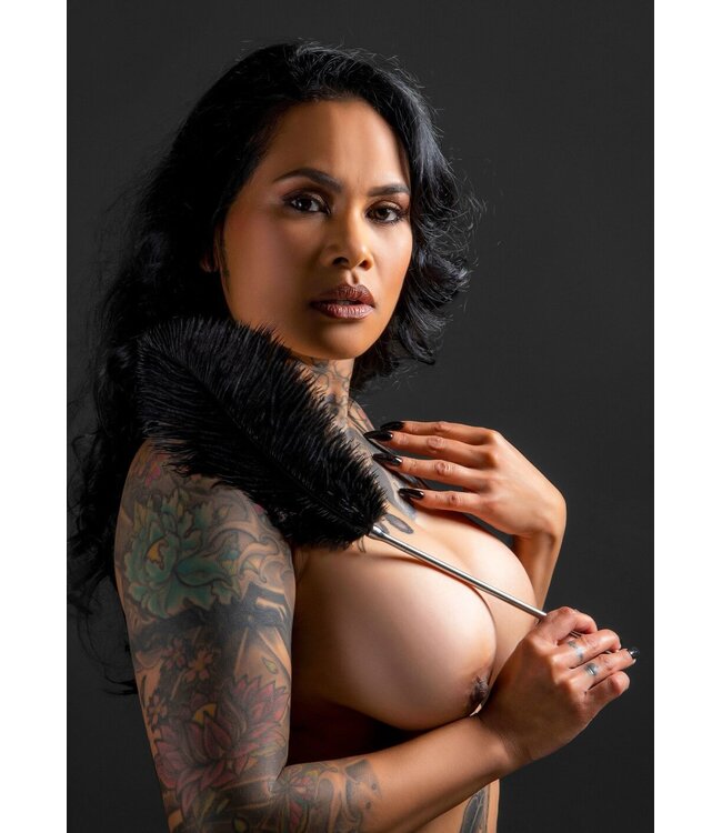 Taboom Bondage Essentials Feather Tickler