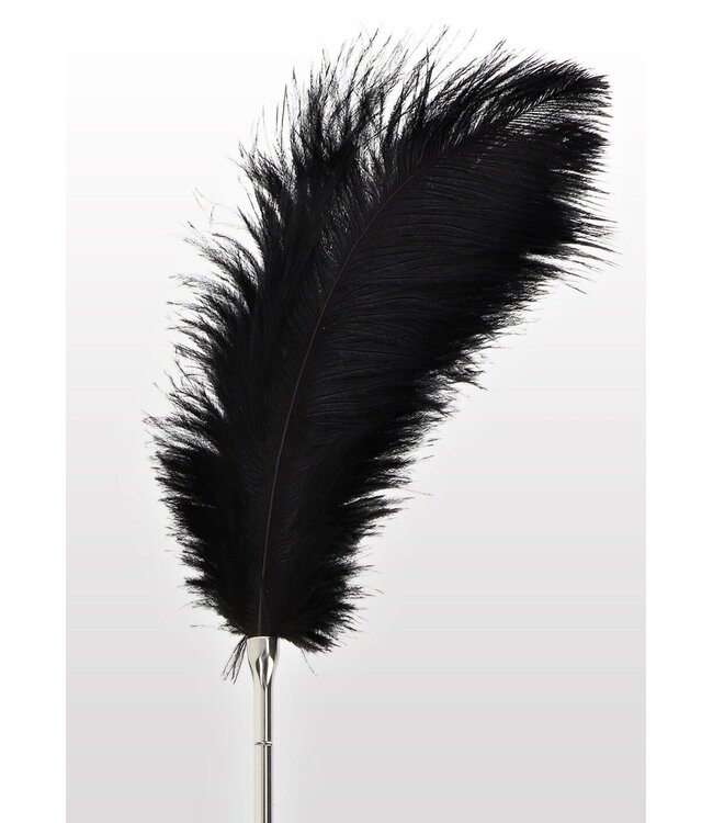 Taboom Bondage Essentials Feather Tickler