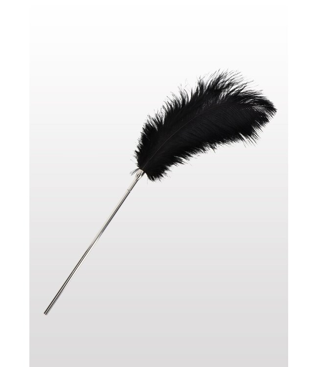 Taboom Bondage Essentials Feather Tickler