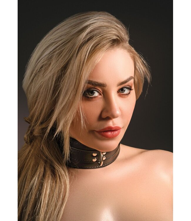 Taboom Bondage Essentials Heavy D-Ring Collar