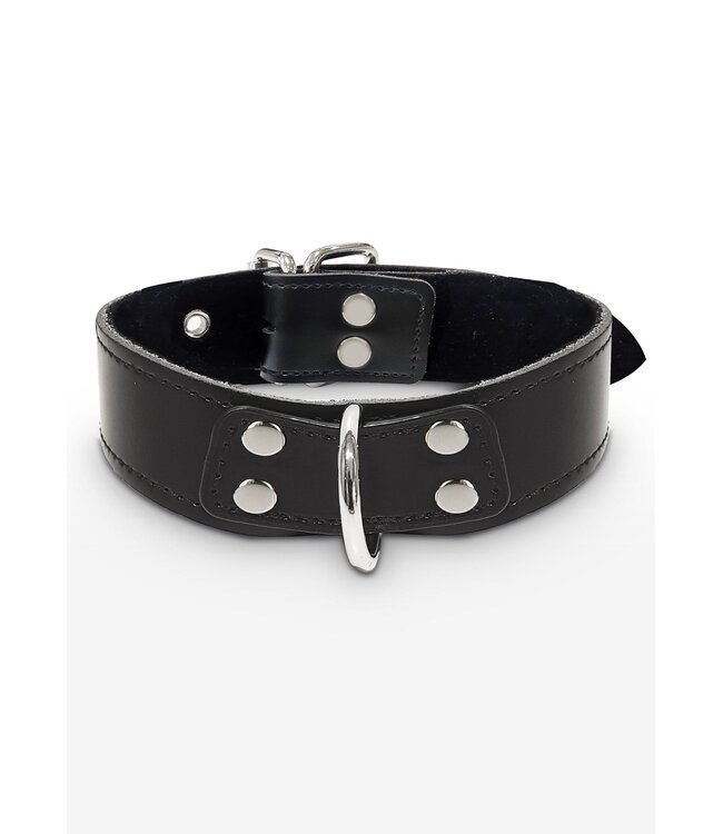 Taboom Bondage Essentials Elegant D-Ring Collar