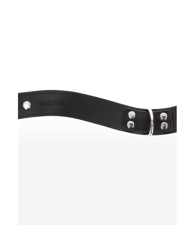 Taboom Bondage Essentials Elegant D-Ring Collar