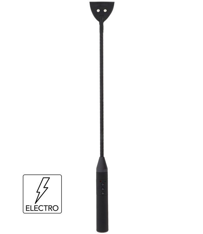 Hidden Desire Extreme Electro Riding Crop