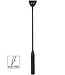 Hidden Desire Extreme Electro Riding Crop