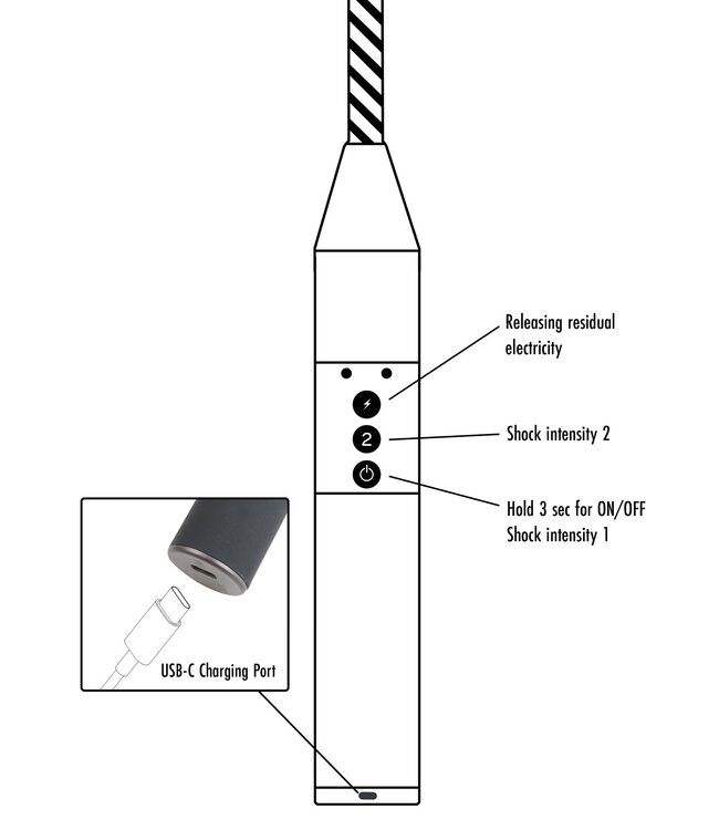 Hidden Desire Extreme Electro Riding Crop
