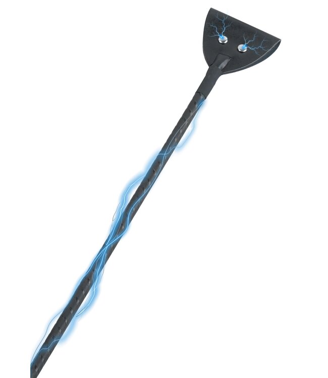 Hidden Desire Extreme Electro Riding Crop