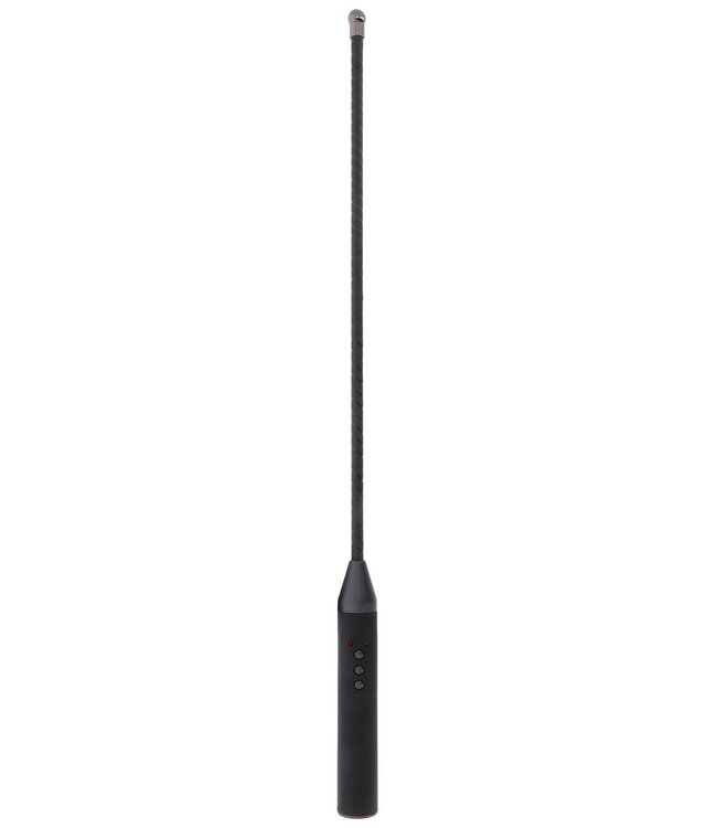 Hidden Desire Extreme Electro Cane