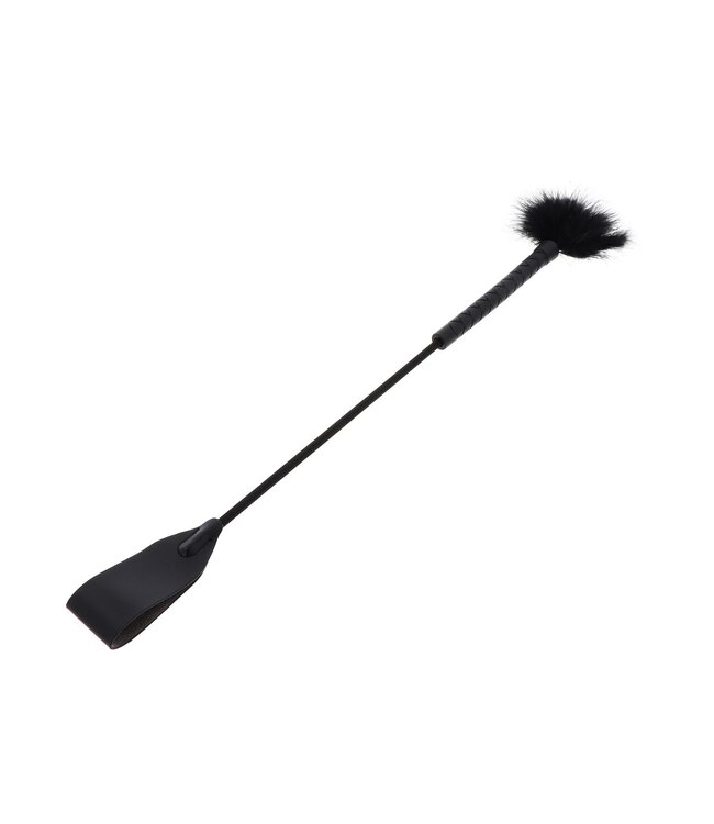 Hidden Desire Extreme Crop Whip & Feather Tickler