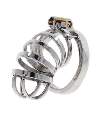 Hidden Desire Extreme Chastity Cock Cage Metal