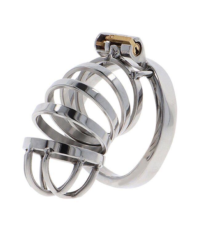 Hidden Desire Extreme Chastity Cock Cage Metal