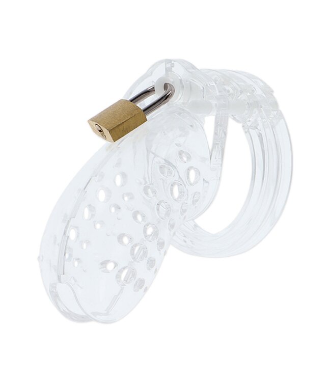 Hidden Desire Extreme Chastity Cock Cage Acrylic