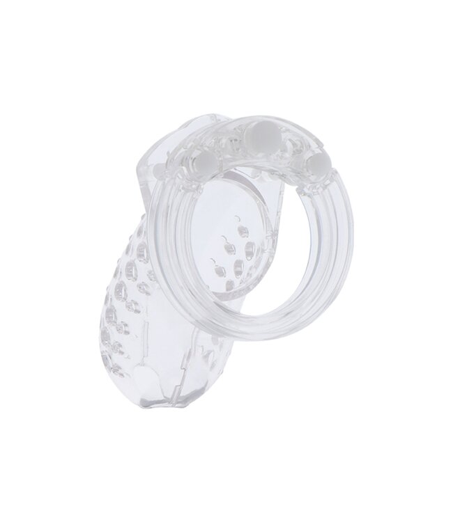 Hidden Desire Extreme Chastity Cock Cage Acrylic