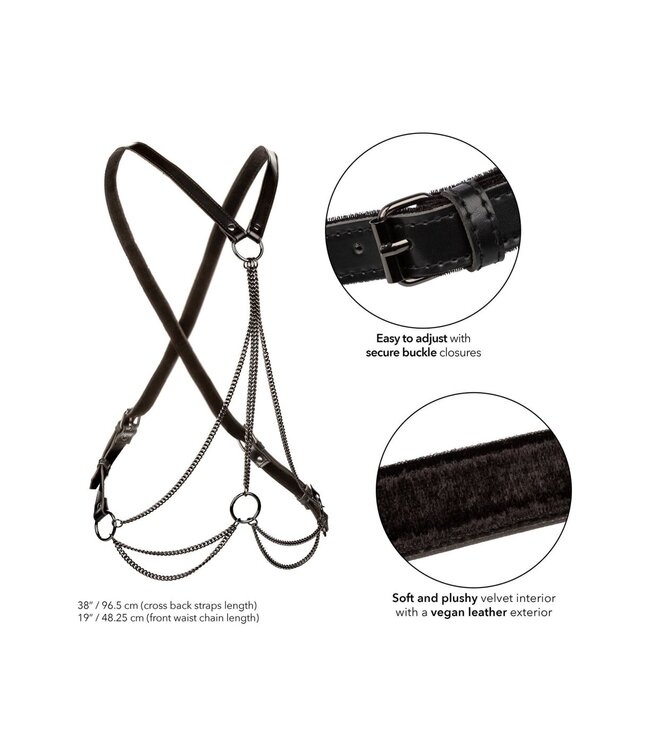 CalExotics Euphoria Collection Plus Size Multi Chain Harness