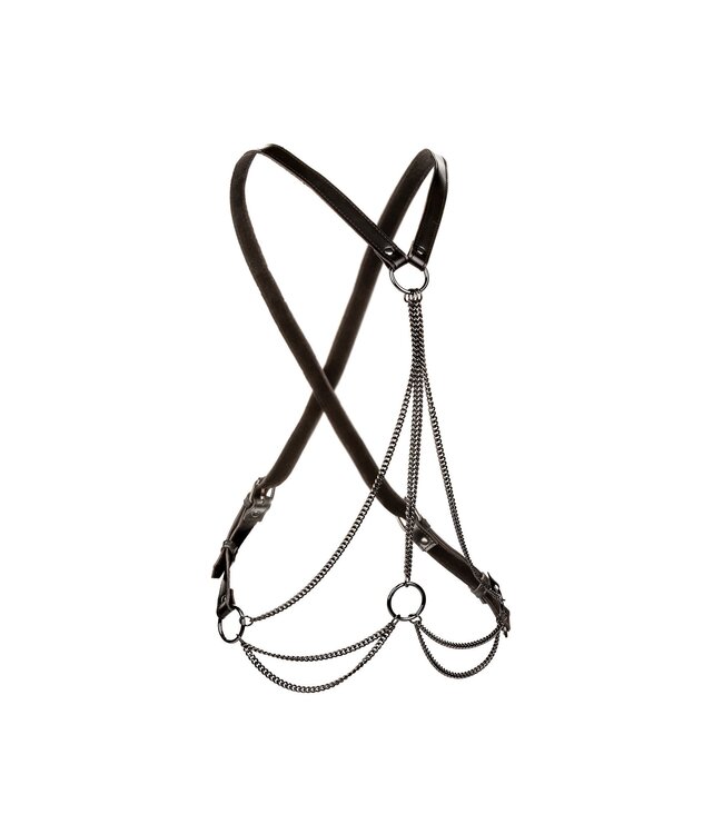 CalExotics Euphoria Collection Multi Chain Harness