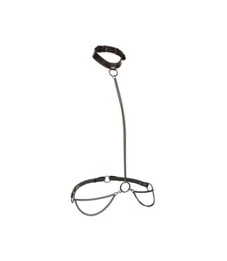 CalExotics Euphoria Collection Plus Size Chain Halter/Collar & Leash