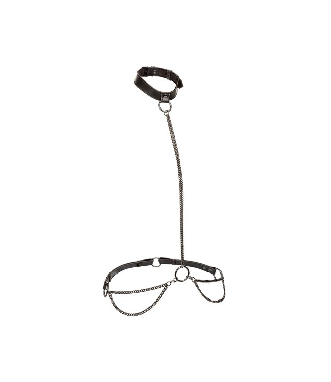 CalExotics Euphoria Collection Plus Size Chain Halter/Collar & Leash
