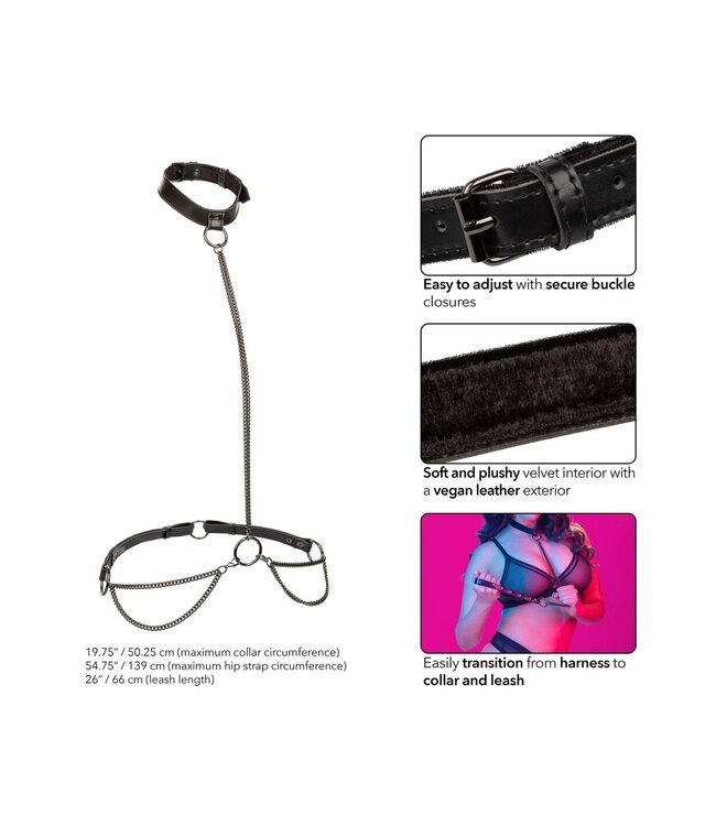 CalExotics Euphoria Collection Plus Size Chain Halter/Collar & Leash