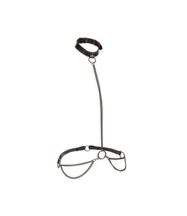 CalExotics Euphoria Collection Chain Halter/Collar & Leash