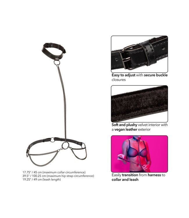 CalExotics Euphoria Collection Chain Halter/Collar & Leash
