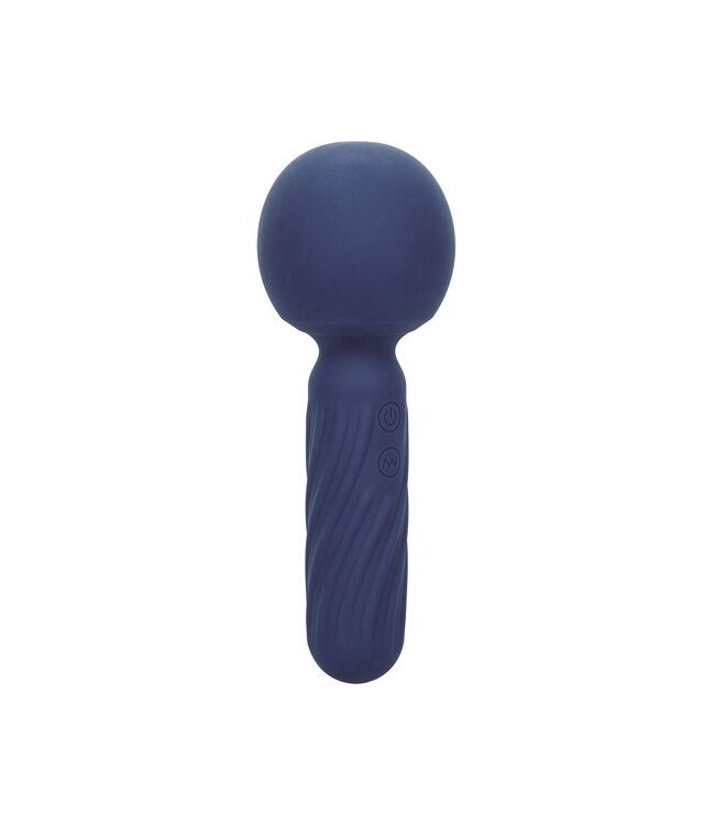 CalExotics Charisma Seduction