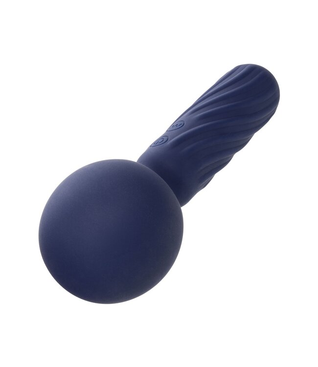 CalExotics Charisma Seduction