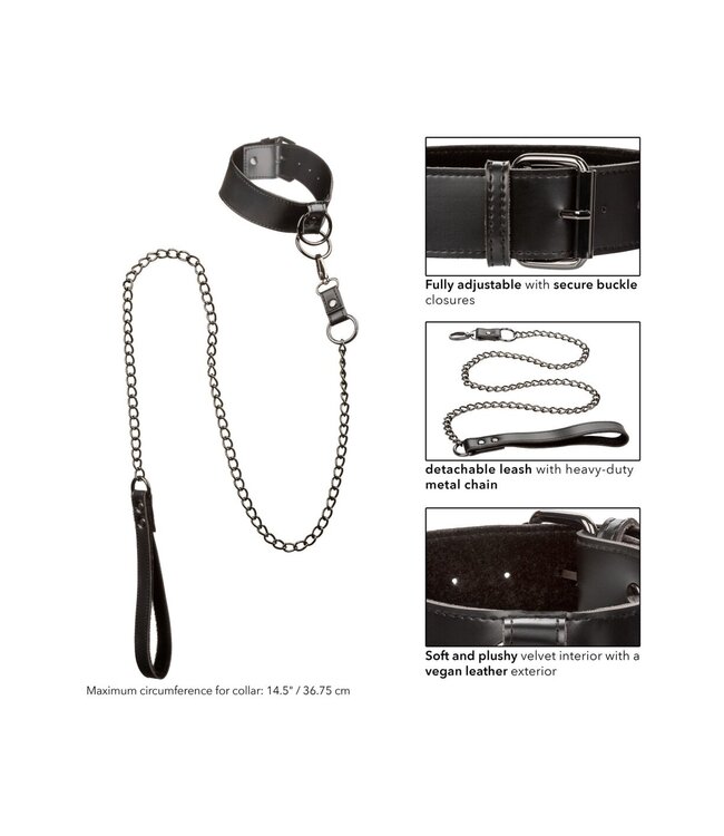 CalExotics Euphoria Collection Collar with Chain Leash
