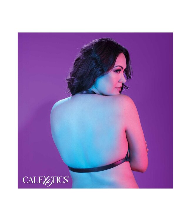 CalExotics Euphoria Collection Plus Size Halter Buckle Harness