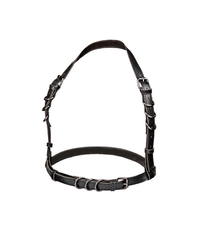 CalExotics Euphoria Collection Halter Buckle Harness