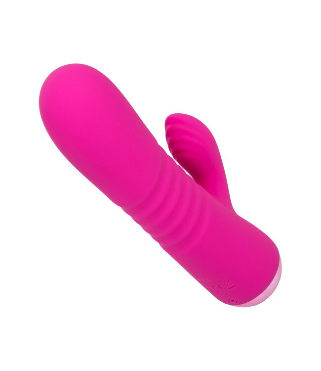 CalExotics Thicc Chubby Honey