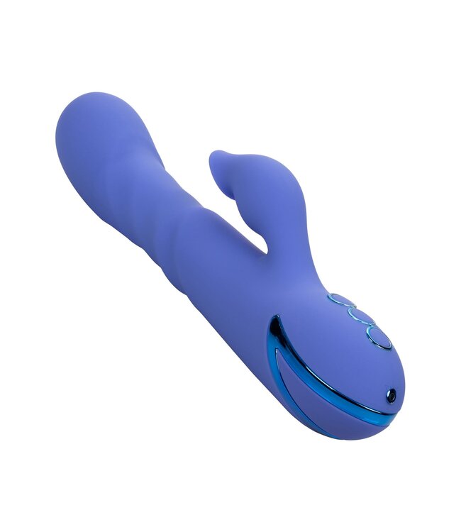 CalExotics California Dreaming L.A. Love