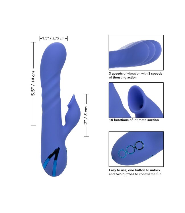 CalExotics California Dreaming L.A. Love