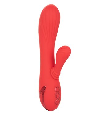 CalExotics California Dreaming Palisades Passion