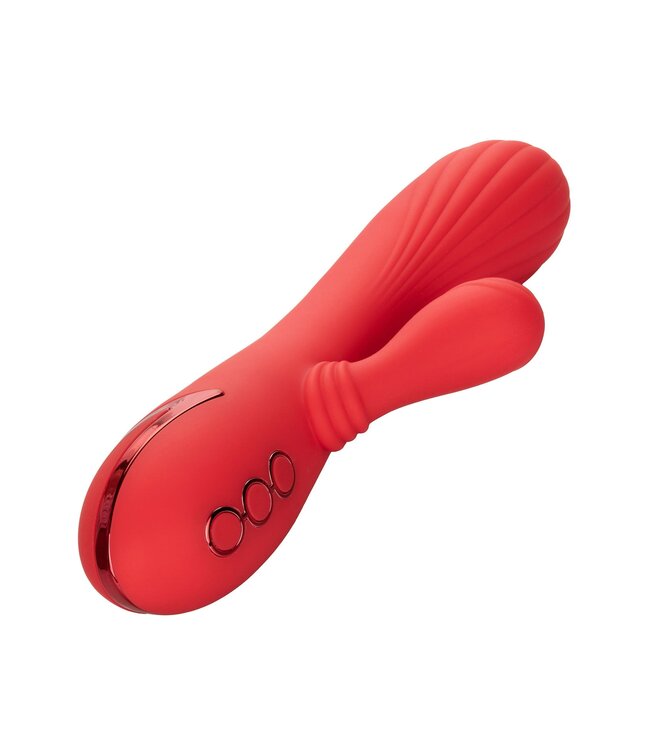 CalExotics California Dreaming Palisades Passion