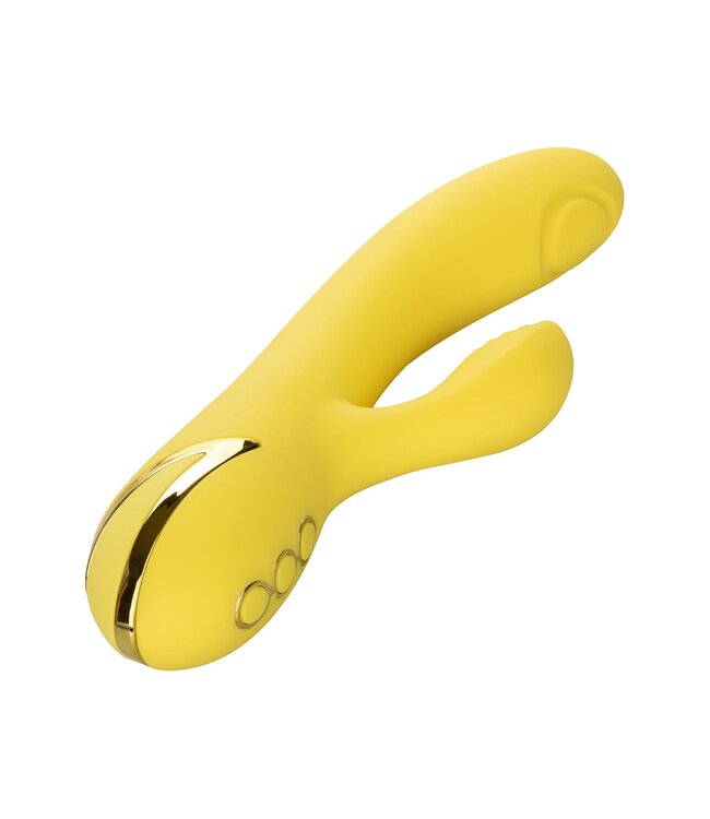 CalExotics California Dreaming San Diego Seduction