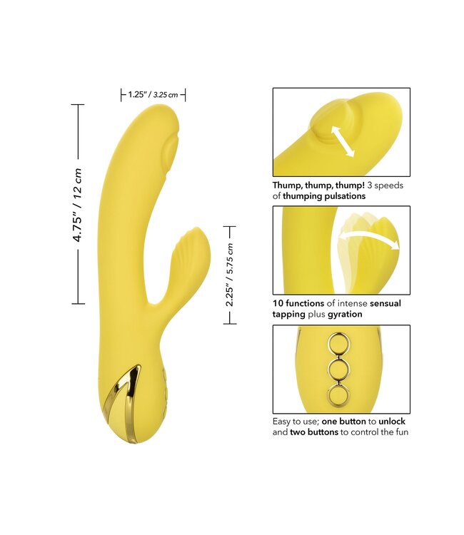 CalExotics California Dreaming San Diego Seduction