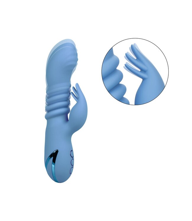 CalExotics California Dreaming Santa Cruz 'Coaster