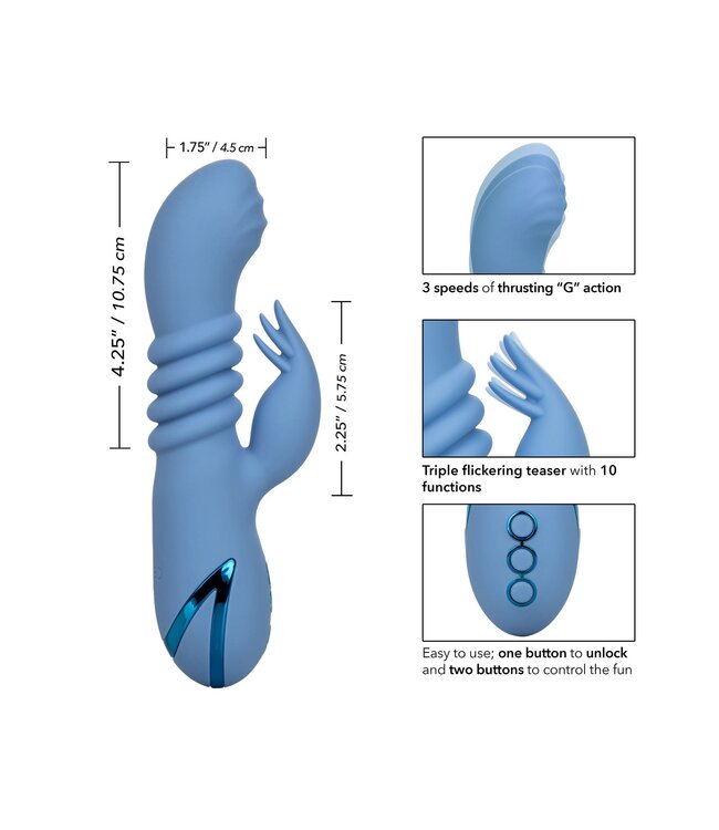 CalExotics California Dreaming Santa Cruz 'Coaster