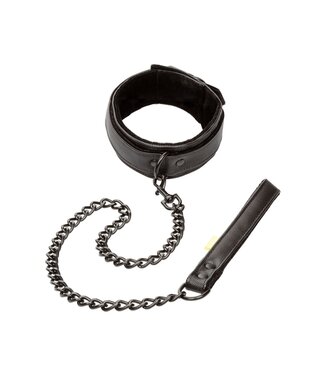 CalExotics Boundless Collar with Leash