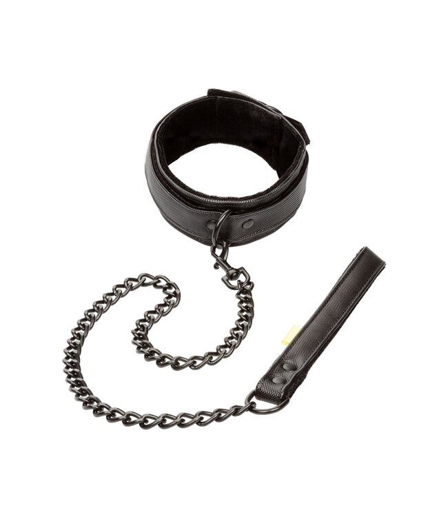 CalExotics Boundless Collar with Leash