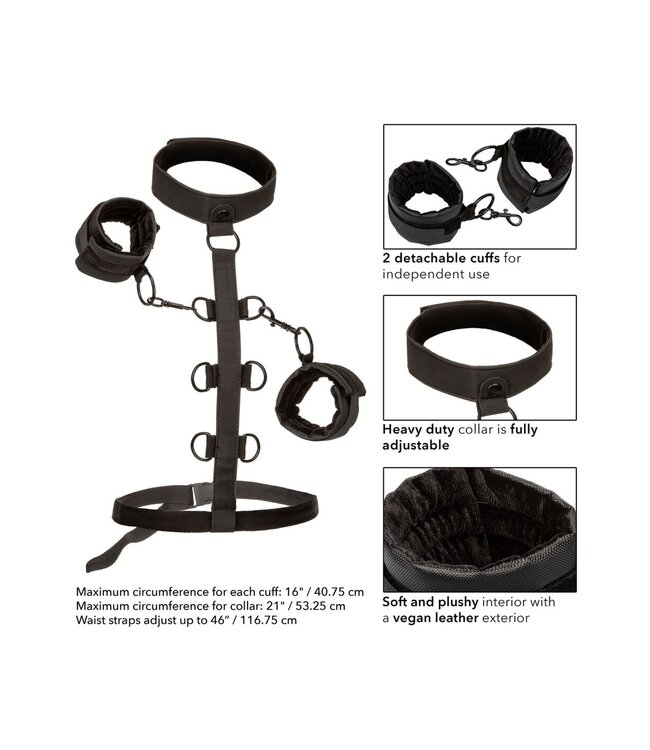 CalExotics Boundless Collar Body Restraint