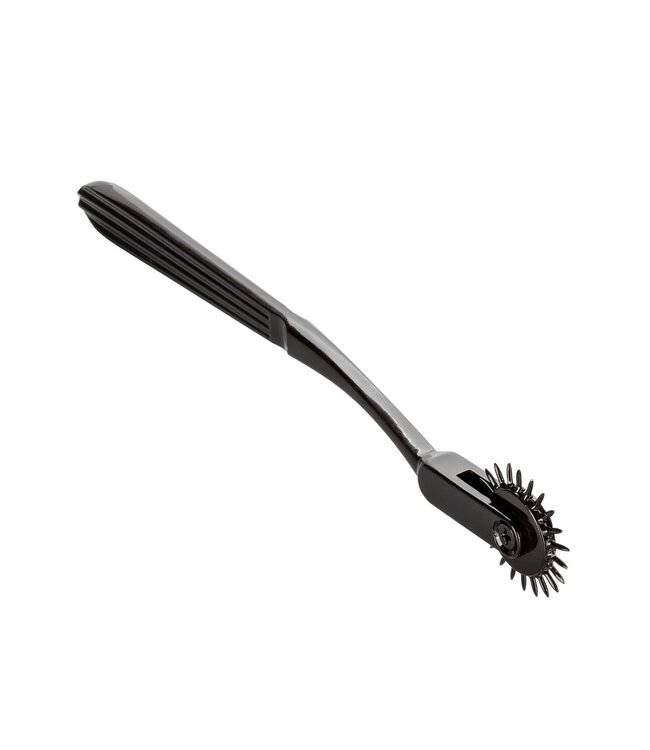 CalExotics Boundless Pleasure Wheel