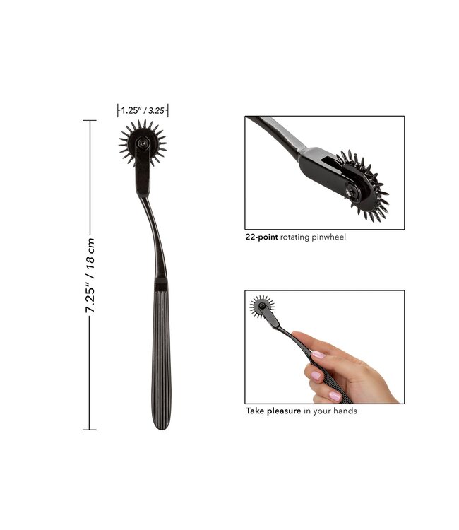 CalExotics Boundless Pleasure Wheel